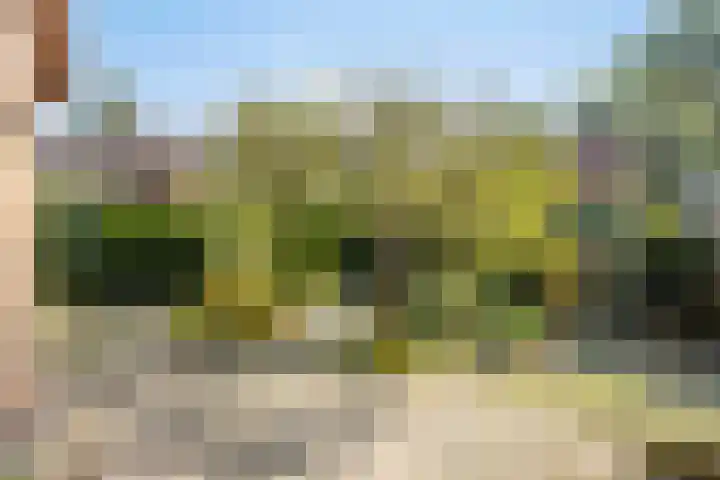 Het Elferink 7 Diepenheim thumbnail 53