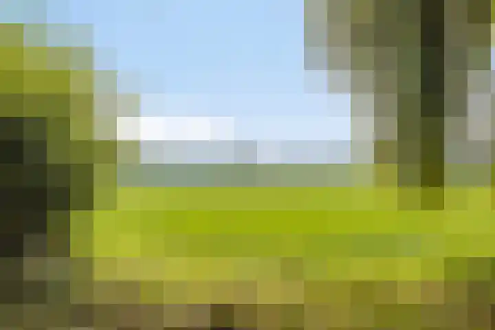Het Elferink 7 Diepenheim thumbnail 54