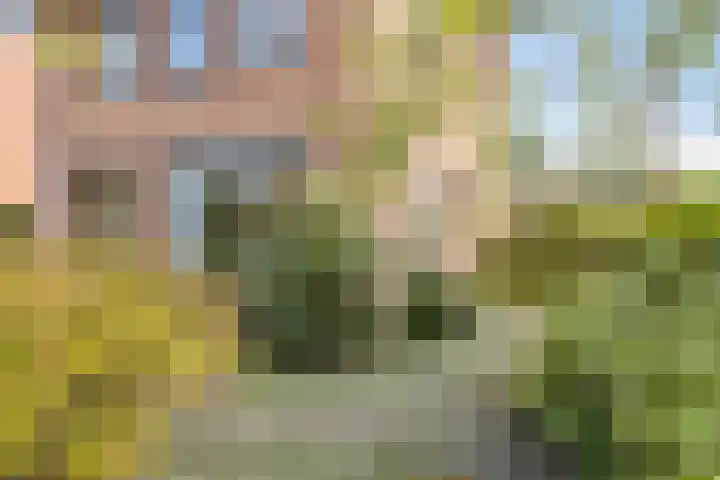 Het Elferink 7 Diepenheim thumbnail 55