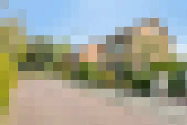 Het Elferink 7 Diepenheim thumbnail 57