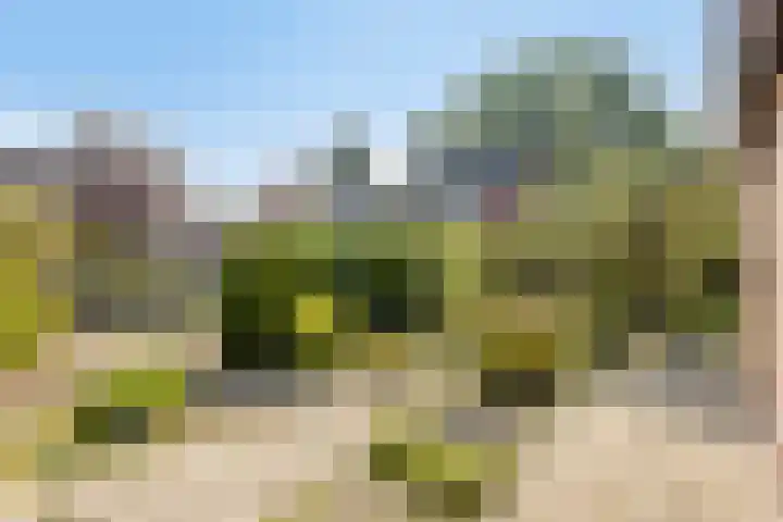 Het Elferink 7 Diepenheim thumbnail 6