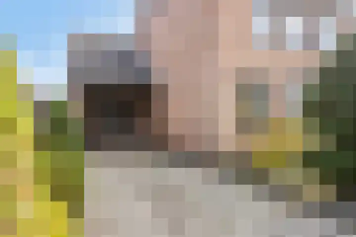 Het Elferink 7 Diepenheim thumbnail 7