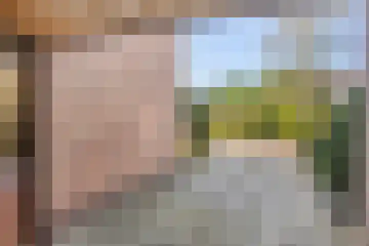 Het Elferink 7 Diepenheim thumbnail 8
