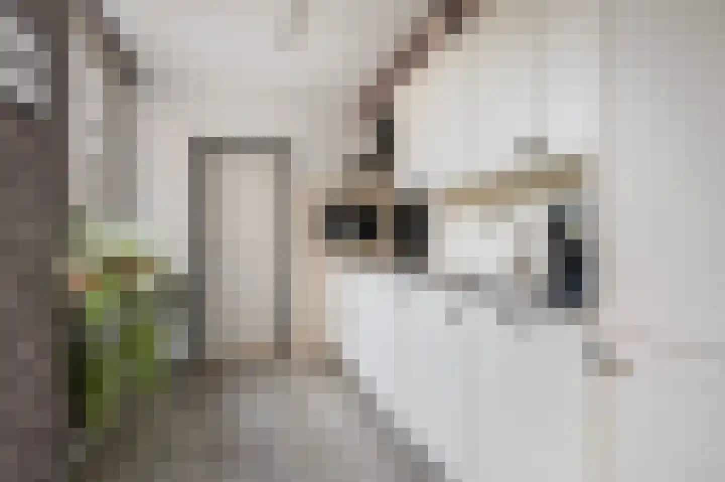 Het Elferink 75 Diepenheim thumbnail 7