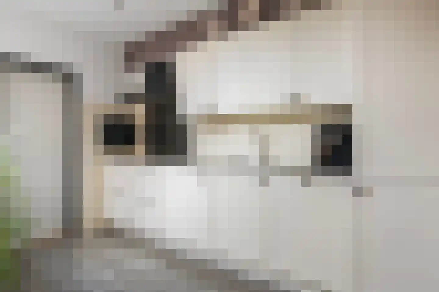 Het Elferink 75 Diepenheim thumbnail 8