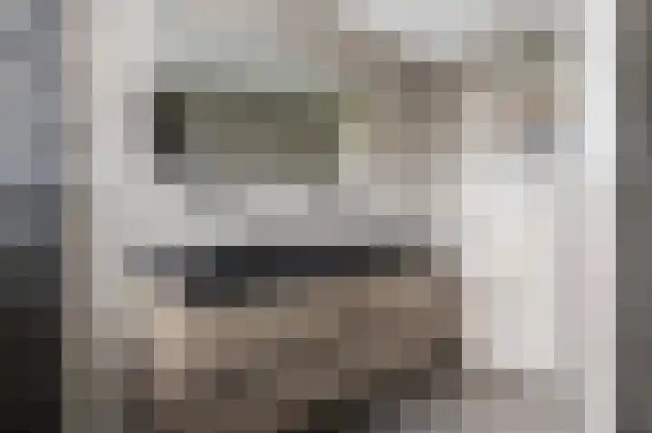 Het Elferink 83 Diepenheim thumbnail 13