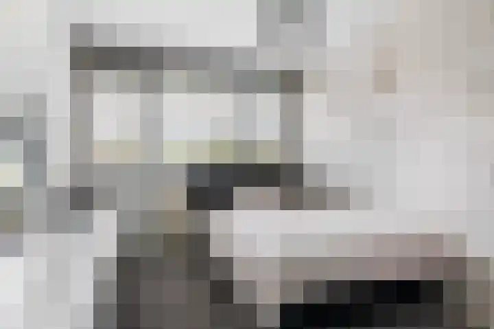 Het Elferink 83 Diepenheim thumbnail 15