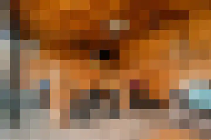 Het Elferink 83 Diepenheim thumbnail 21
