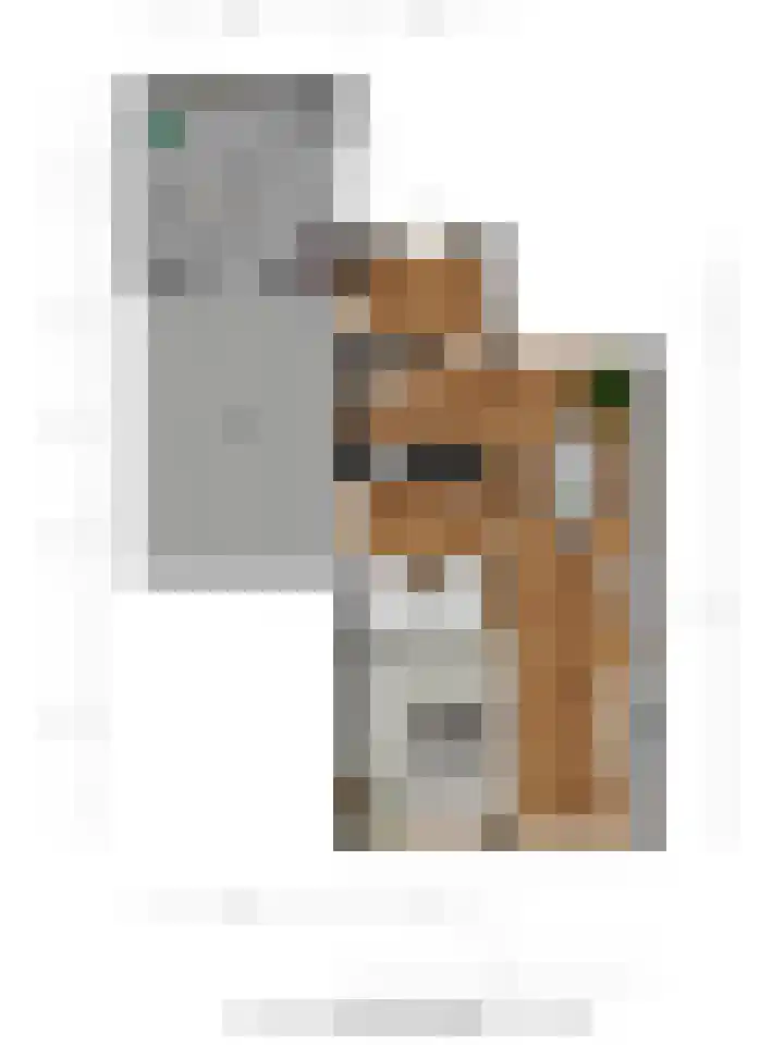 Het Elferink 83 Diepenheim thumbnail 23