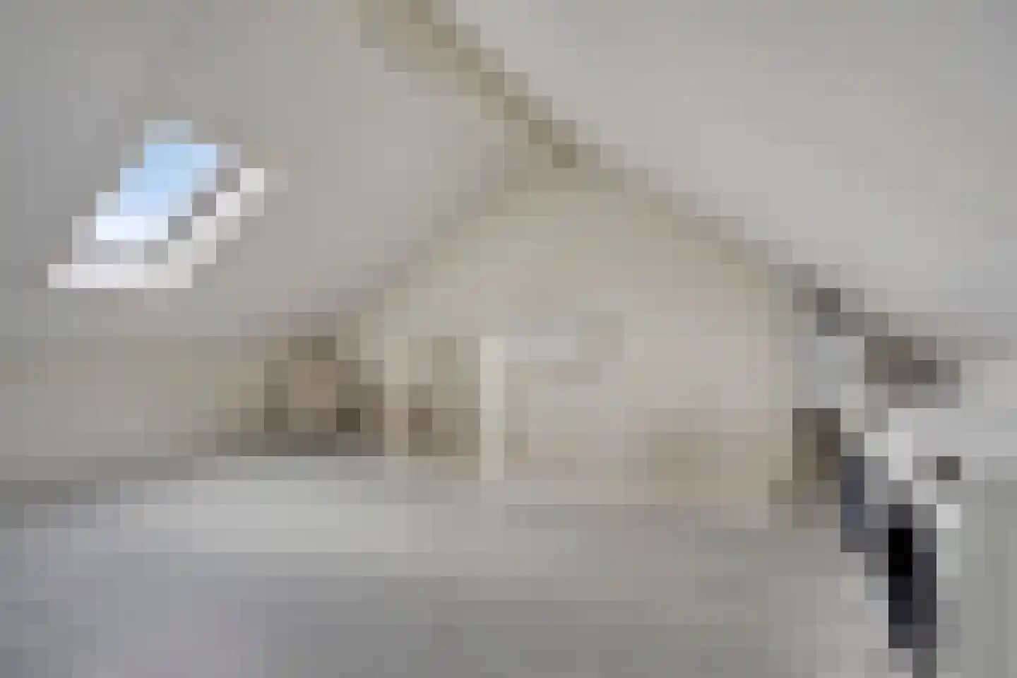 Het Elferman 41 Denekamp thumbnail 24