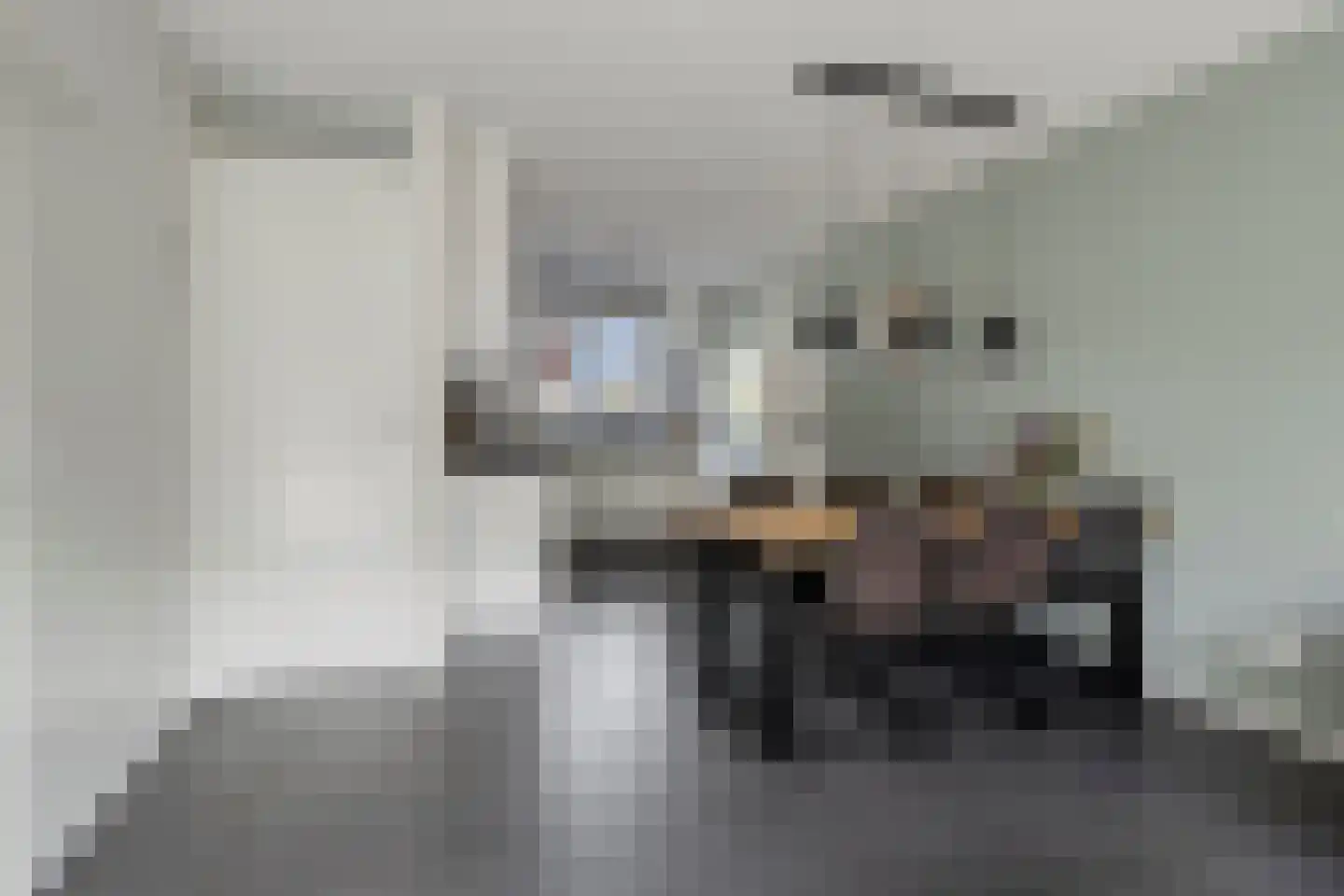 Het Elferman 41 Denekamp thumbnail 8