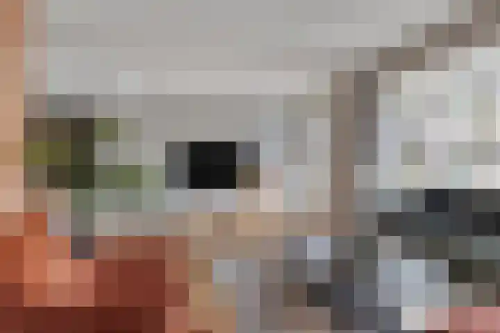 Het Elferman 51 Denekamp thumbnail 10