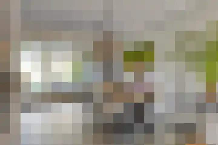 Het Elferman 51 Denekamp thumbnail 15