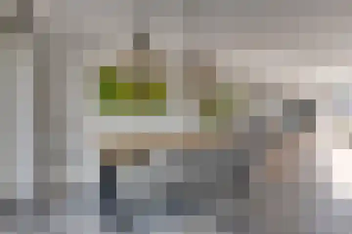 Het Elferman 51 Denekamp thumbnail 17