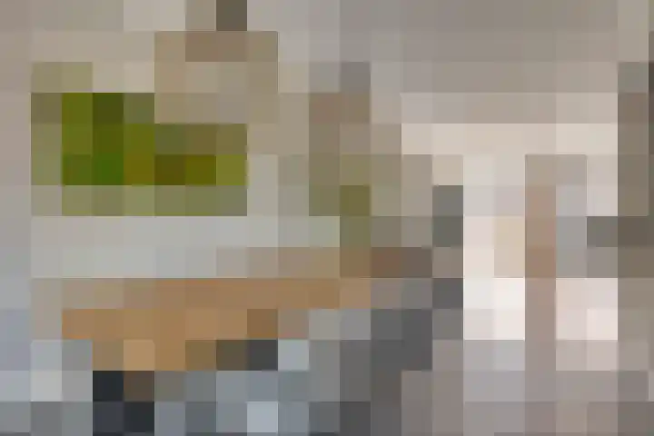 Het Elferman 51 Denekamp thumbnail 18
