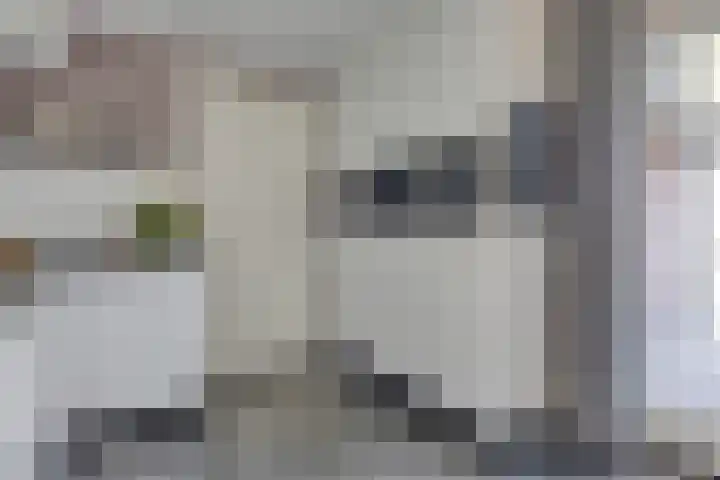 Het Elferman 51 Denekamp thumbnail 21