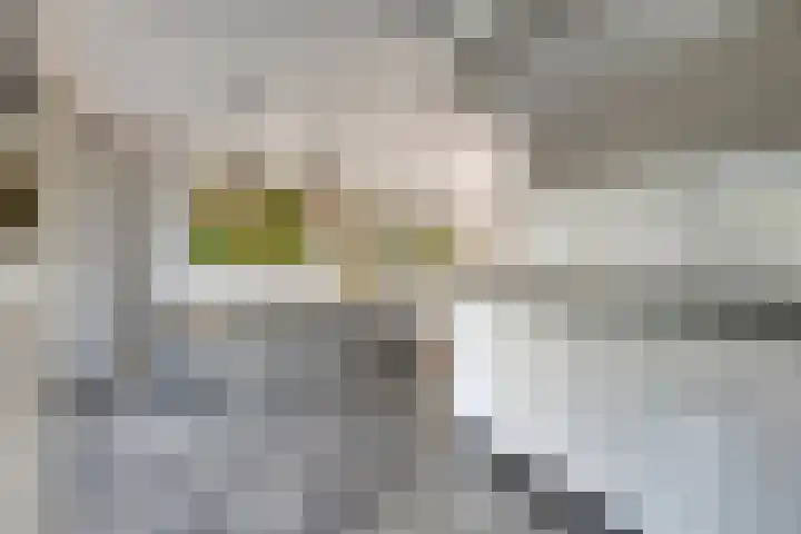 Het Elferman 51 Denekamp thumbnail 22