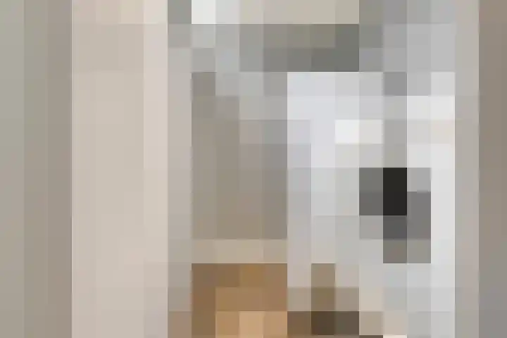 Het Elferman 51 Denekamp thumbnail 28
