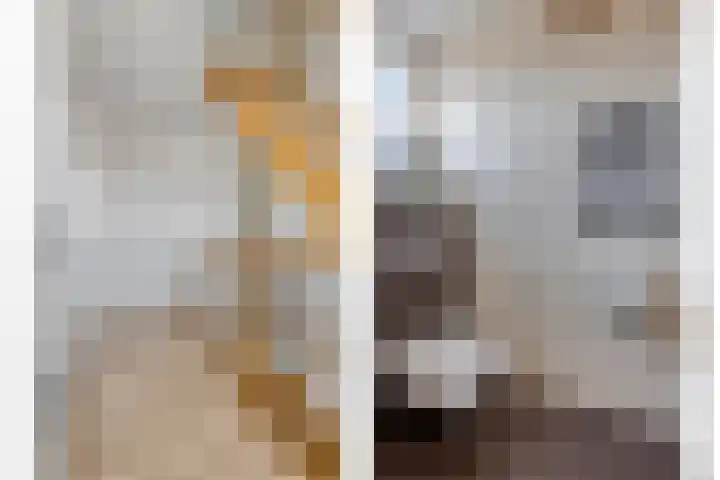 Het Elferman 51 Denekamp thumbnail 30