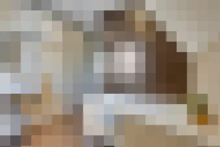 Het Elferman 51 Denekamp thumbnail 36