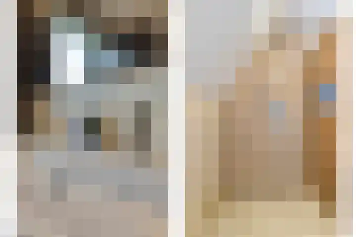 Het Elferman 51 Denekamp thumbnail 37