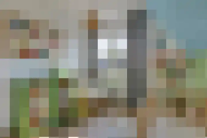 Het Elferman 51 Denekamp thumbnail 39