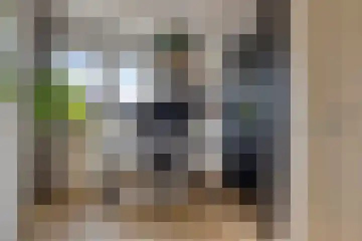 Het Elferman 51 Denekamp thumbnail 40
