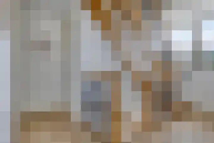 Het Elferman 51 Denekamp thumbnail 41
