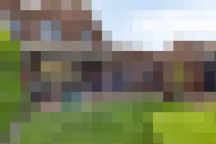 Het Elferman 51 Denekamp thumbnail 45