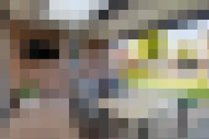 Het Elferman 51 Denekamp thumbnail 47