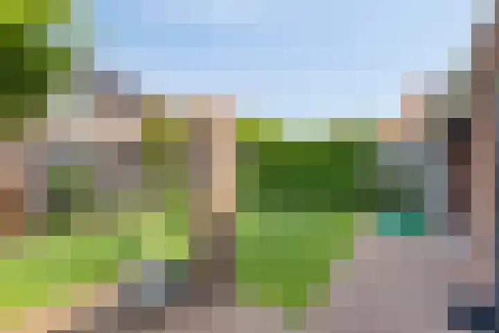 Het Elferman 51 Denekamp thumbnail 49
