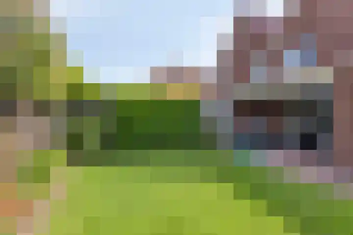 Het Elferman 51 Denekamp thumbnail 50
