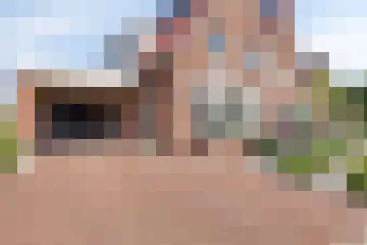 Het Elferman 51 Denekamp thumbnail 52