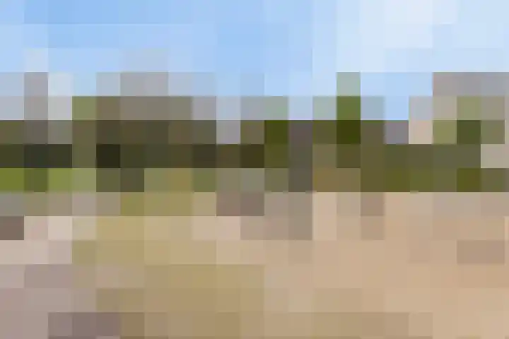 Het Elferman 51 Denekamp thumbnail 54