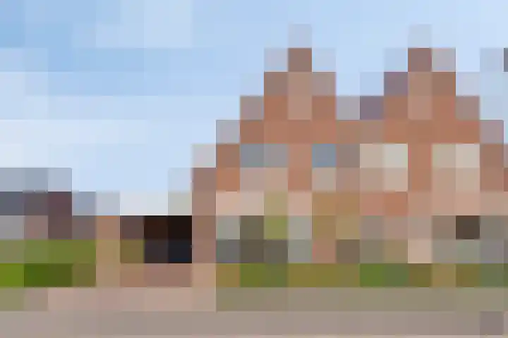 Het Elferman 51 Denekamp thumbnail 59