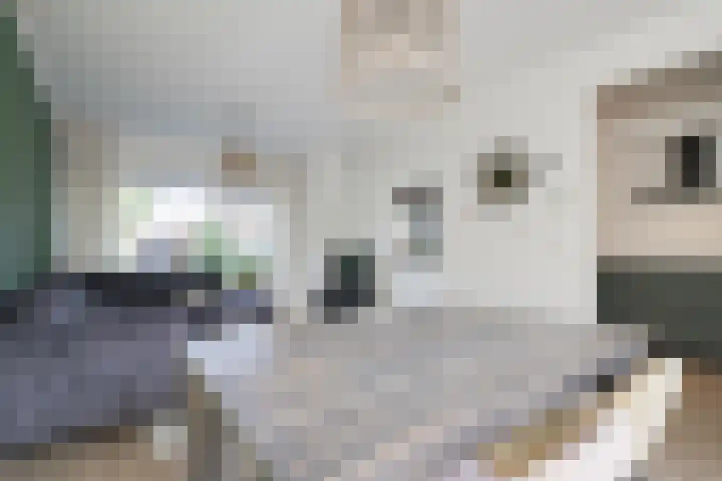 het Elshof 7 Vorden thumbnail 10