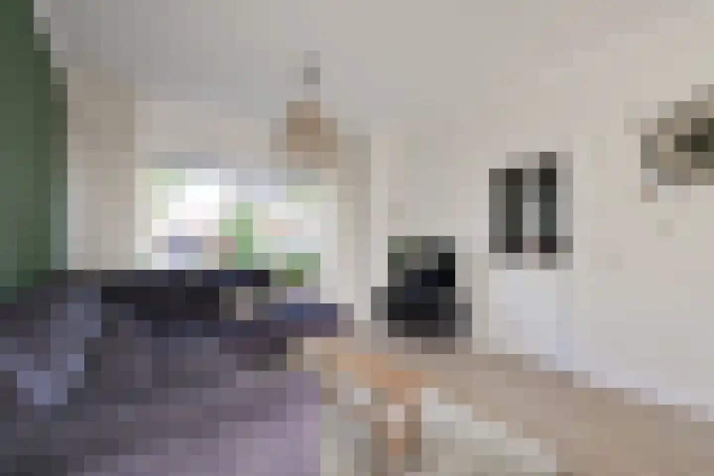 het Elshof 7 Vorden thumbnail 11
