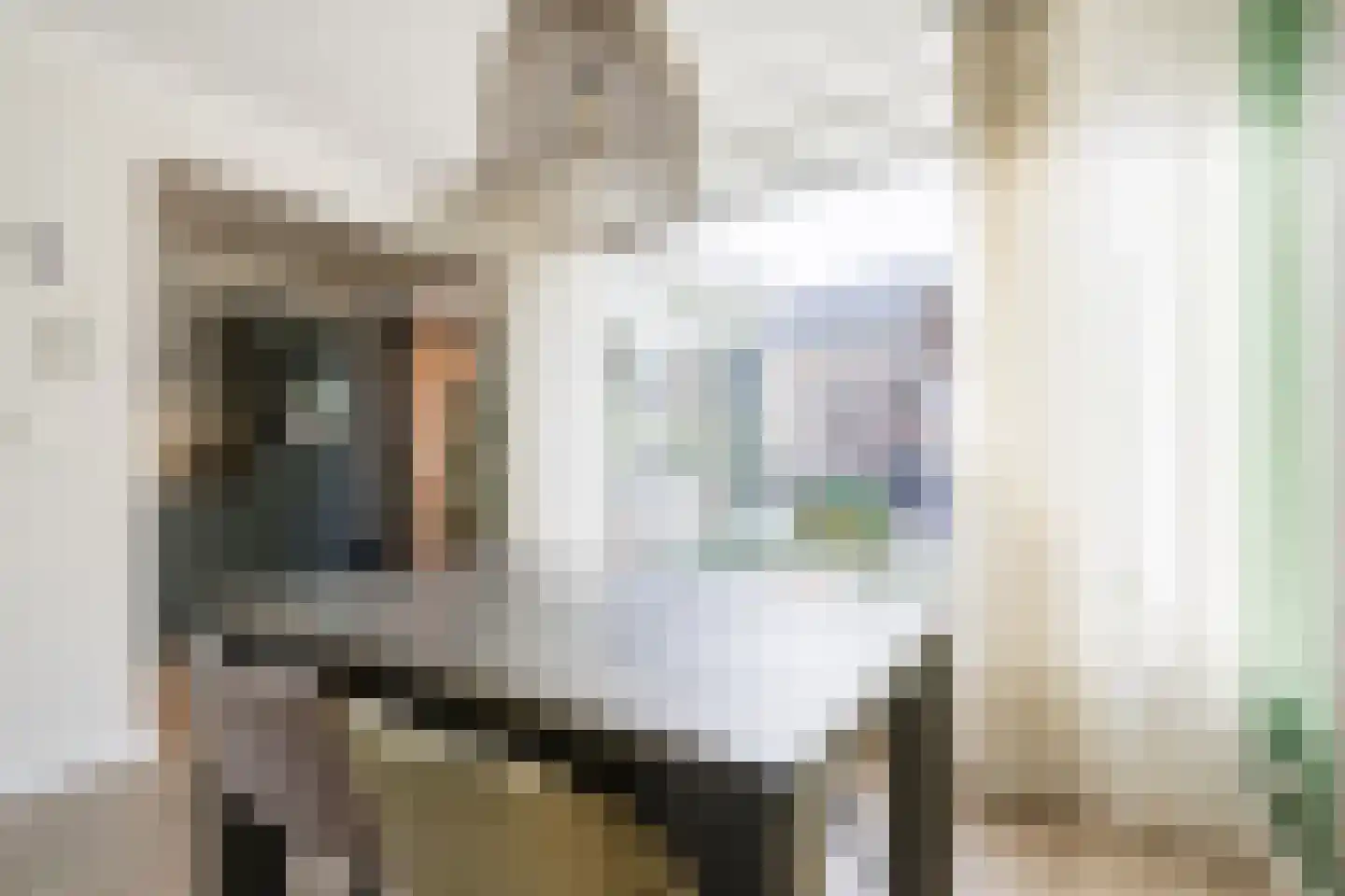 het Elshof 7 Vorden thumbnail 13