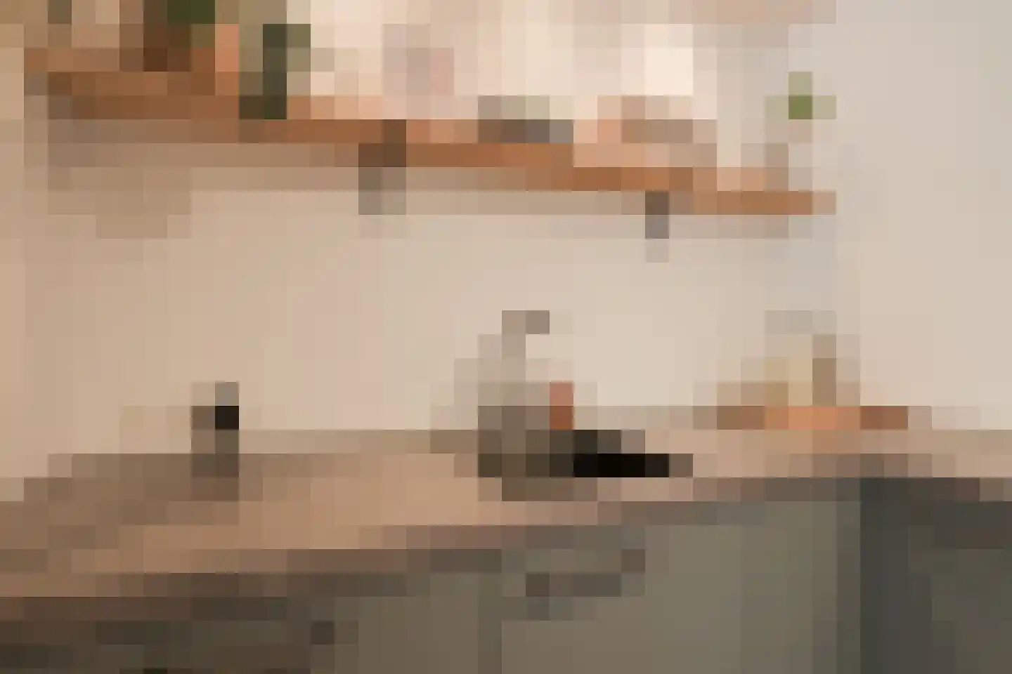 het Elshof 7 Vorden thumbnail 18