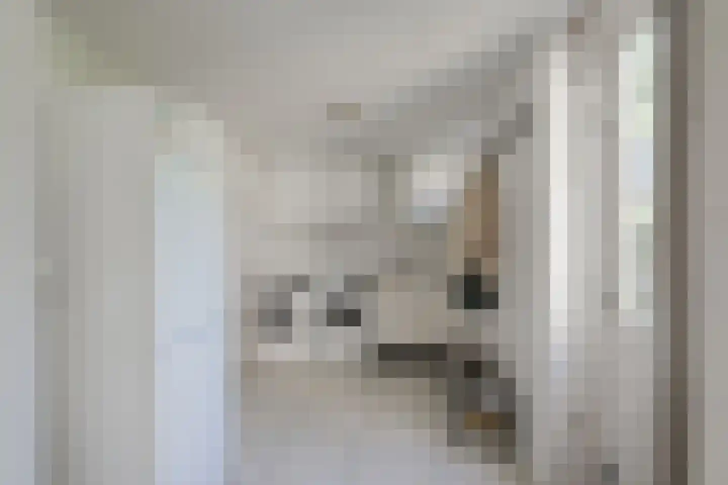 het Elshof 7 Vorden thumbnail 22