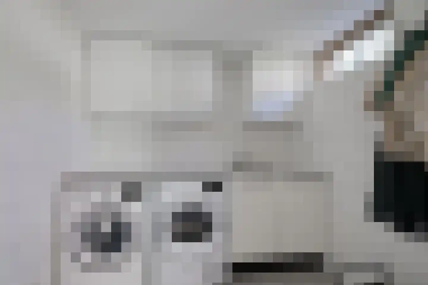 het Elshof 7 Vorden thumbnail 23