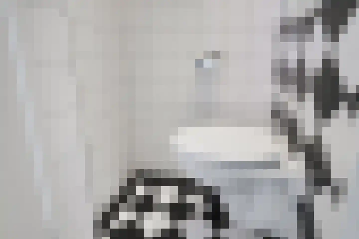 het Elshof 7 Vorden thumbnail 26