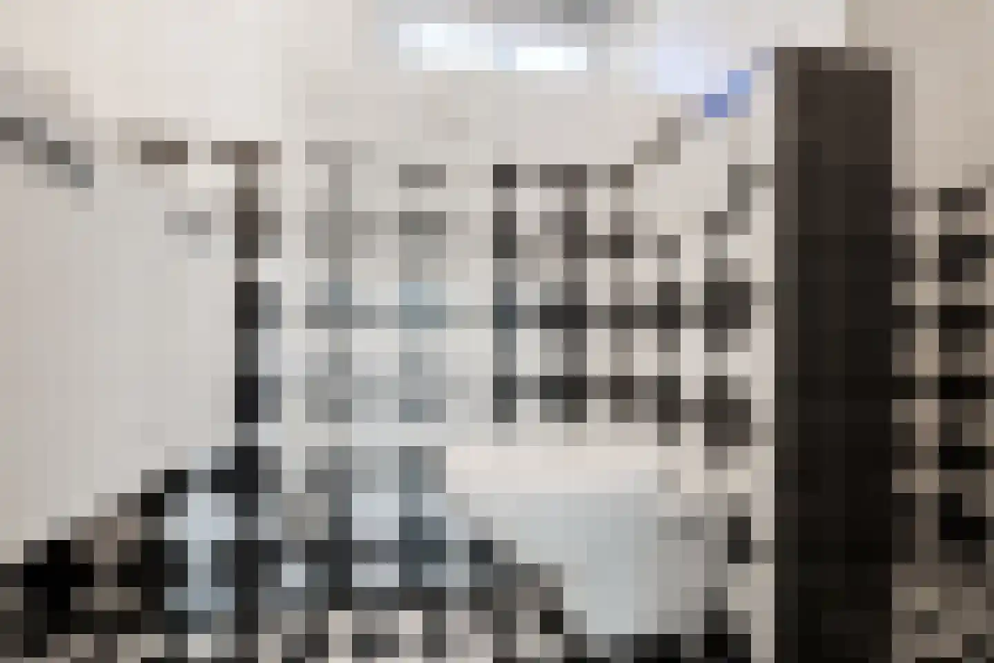 het Elshof 7 Vorden thumbnail 36