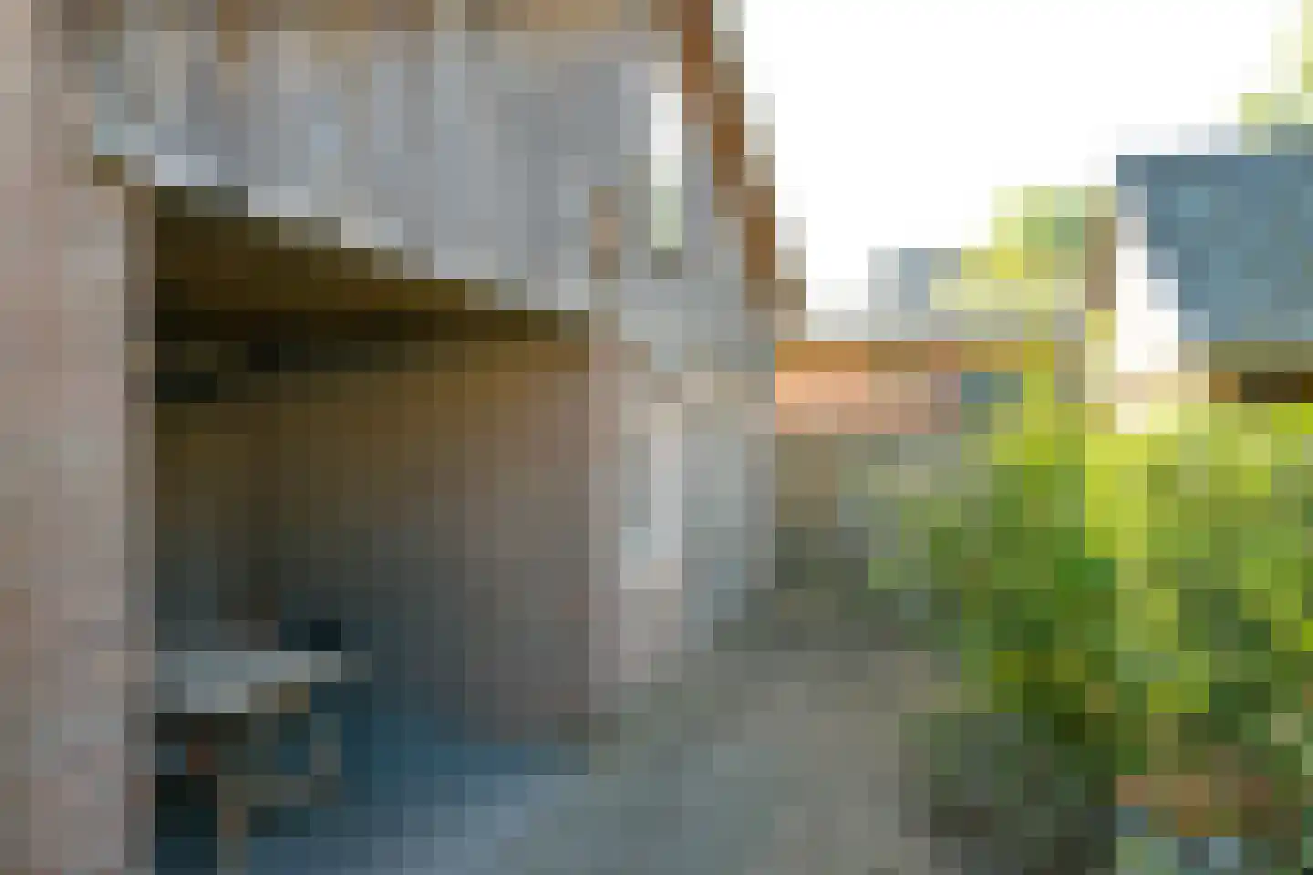 het Elshof 7 Vorden thumbnail 39
