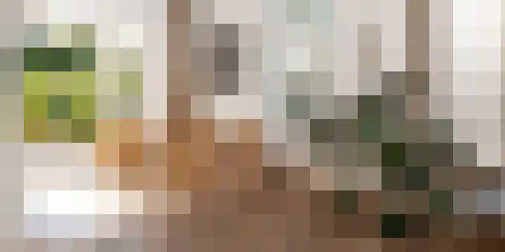 Het Engelse Werk 1 Zwolle thumbnail 12
