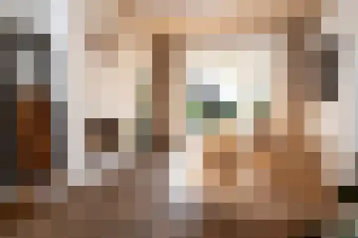 Het Engelse Werk 1 Zwolle thumbnail 13