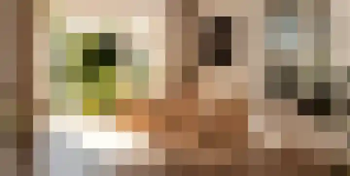 Het Engelse Werk 1 Zwolle thumbnail 14