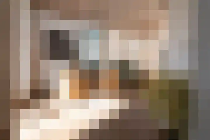 Het Engelse Werk 1 Zwolle thumbnail 15