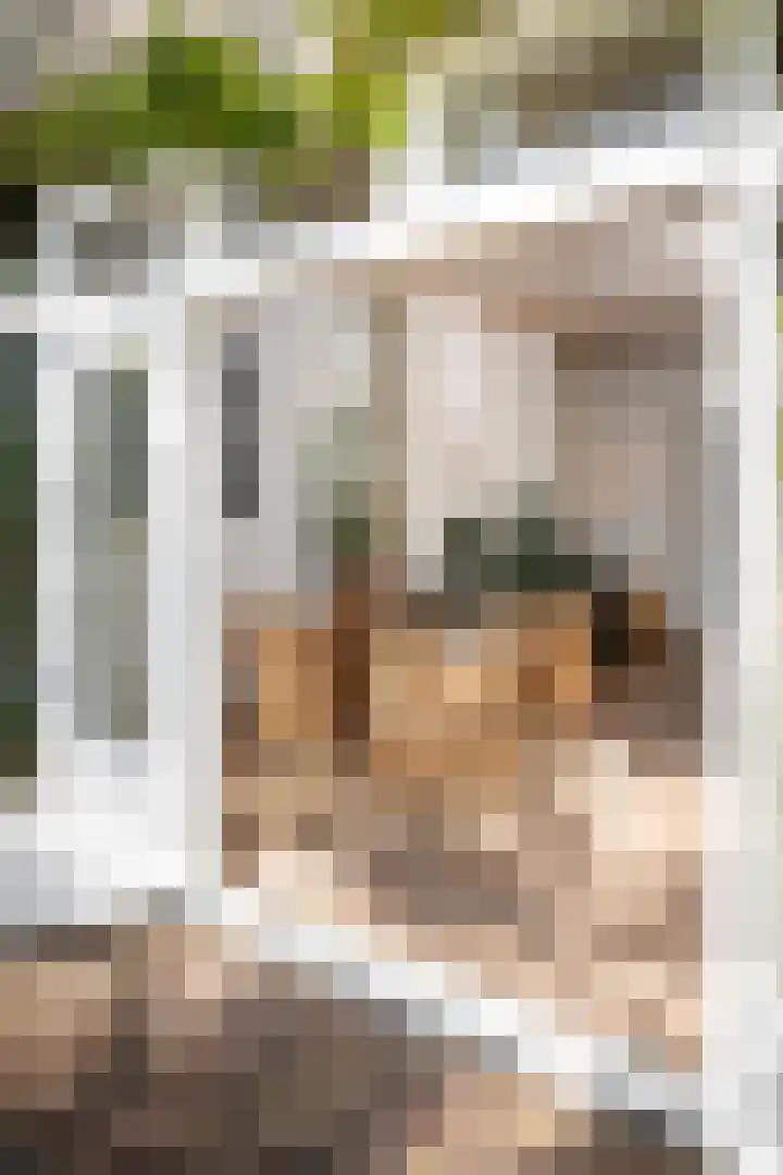 Het Engelse Werk 1 Zwolle thumbnail 16