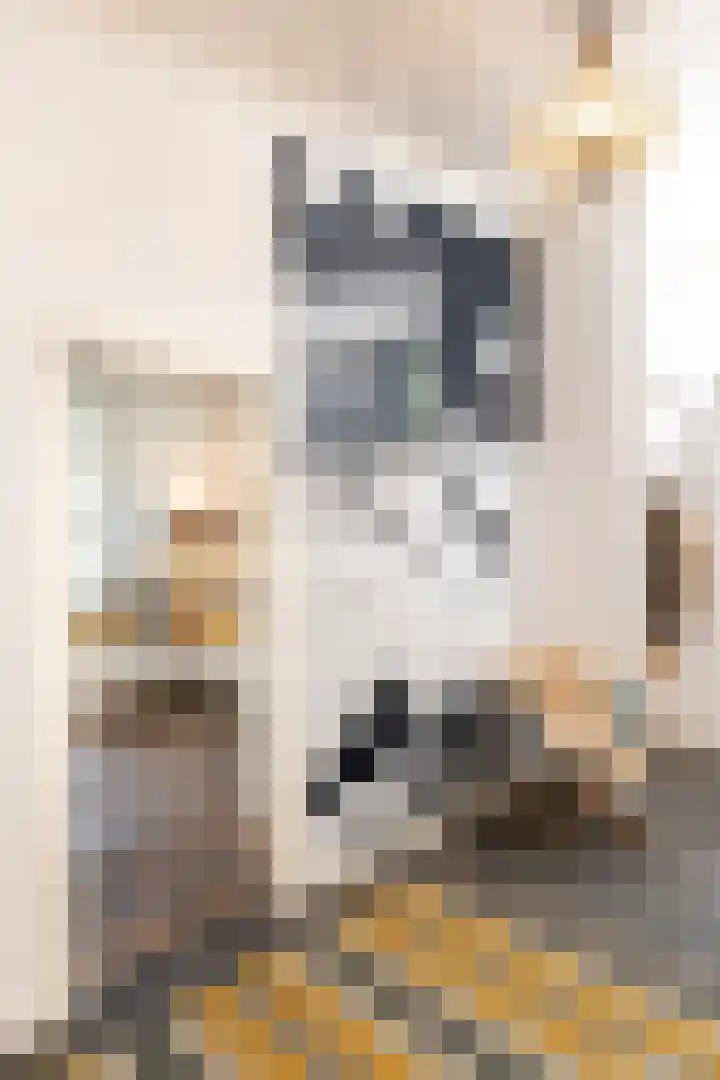 Het Engelse Werk 1 Zwolle thumbnail 23